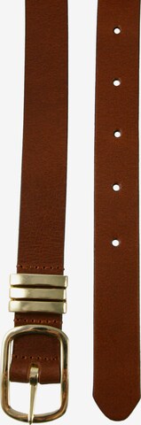 Petrol Industries Belt in Brown