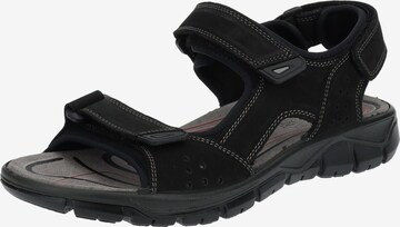 IMAC Hiking Sandals in Black: front