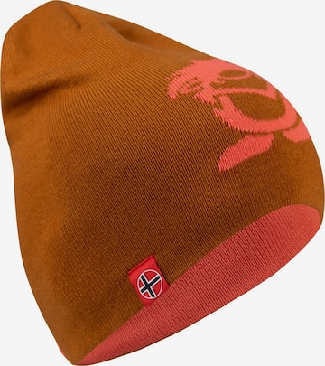 TROLLKIDS Hat in Brown: front
