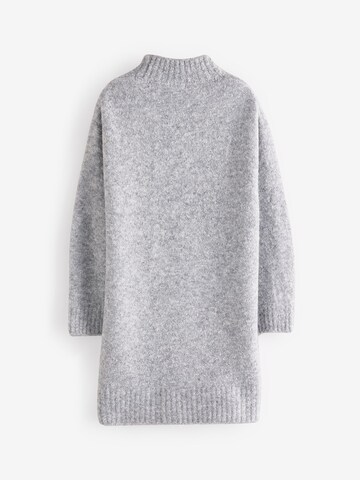 Next Dress in Grey
