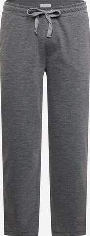 Casual Friday Regular Pants 'Pilou' in Grey: front