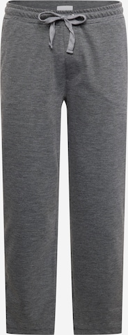 Casual Friday Pants 'Pilou' in Grey: front
