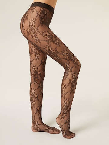 CALZEDONIA Tights in Brown: front
