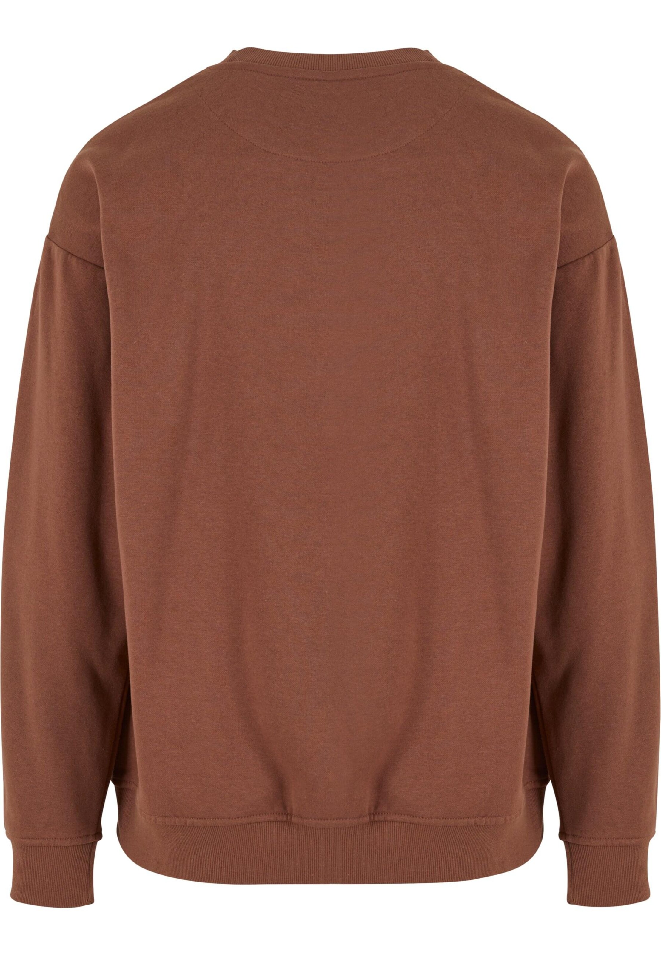 Lost Youth Sweatshirt in Brown