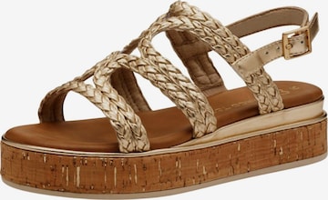 MARCO TOZZI Sandalen met riem in Goud: voorkant