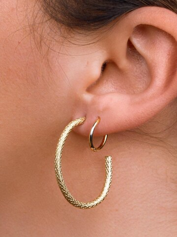Cala Rose Oorbellen 'SNAKE' in Goud