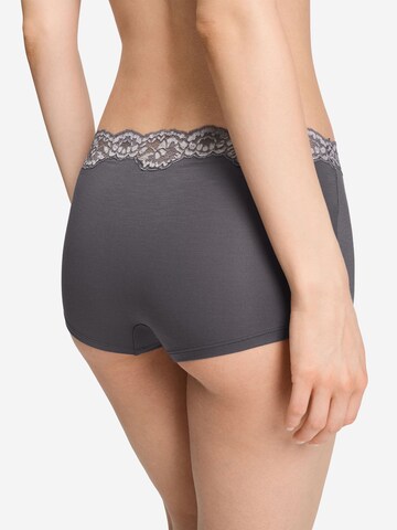 Hanro Panty 'Dana' in Grey