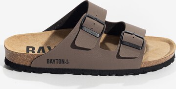 Bayton Mule 'Atlas' in Brown