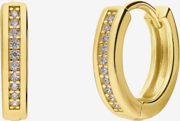 Lucardi Oorbellen in Goud: voorkant