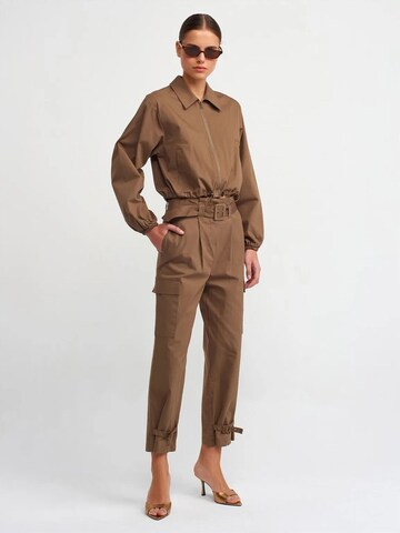 Dilvin Between-Season Jacket in Brown