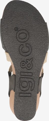 IGI&CO Strap Sandals in Mixed colors