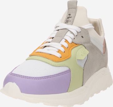 Sneaker bassa 'LARCH' di EKN Footwear in colori misti: frontale