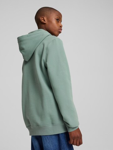 PUMA Свитшот 'Ess No. 1' в Зеленый