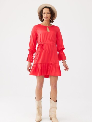 Blue Shadow Dress in Red