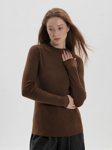 TorWeit Pullover‌‌‌‌‌‌‌‌ in Braun