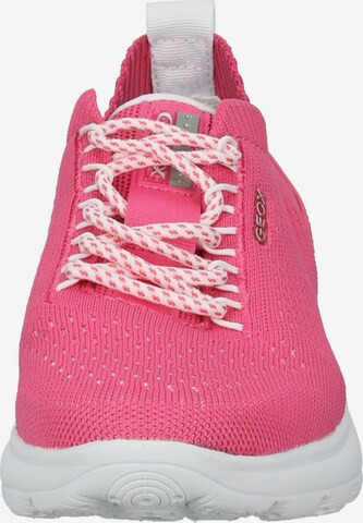 GEOX Sneaker in Pink