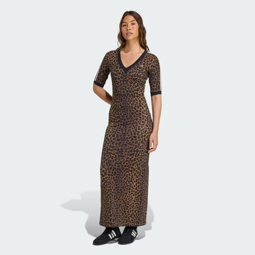 ADIDAS ORIGINALS Dress in Brown: front