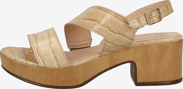 Wonders Strap Sandals in Beige