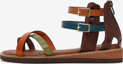 Flip-flops pe 36 Derimod pe albastru închis / maro / verde kiwi / portocaliu închis, Vizualizare produs