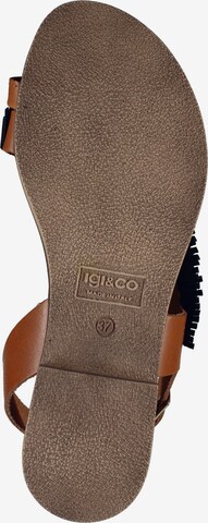 Tongs IGI&CO en marron