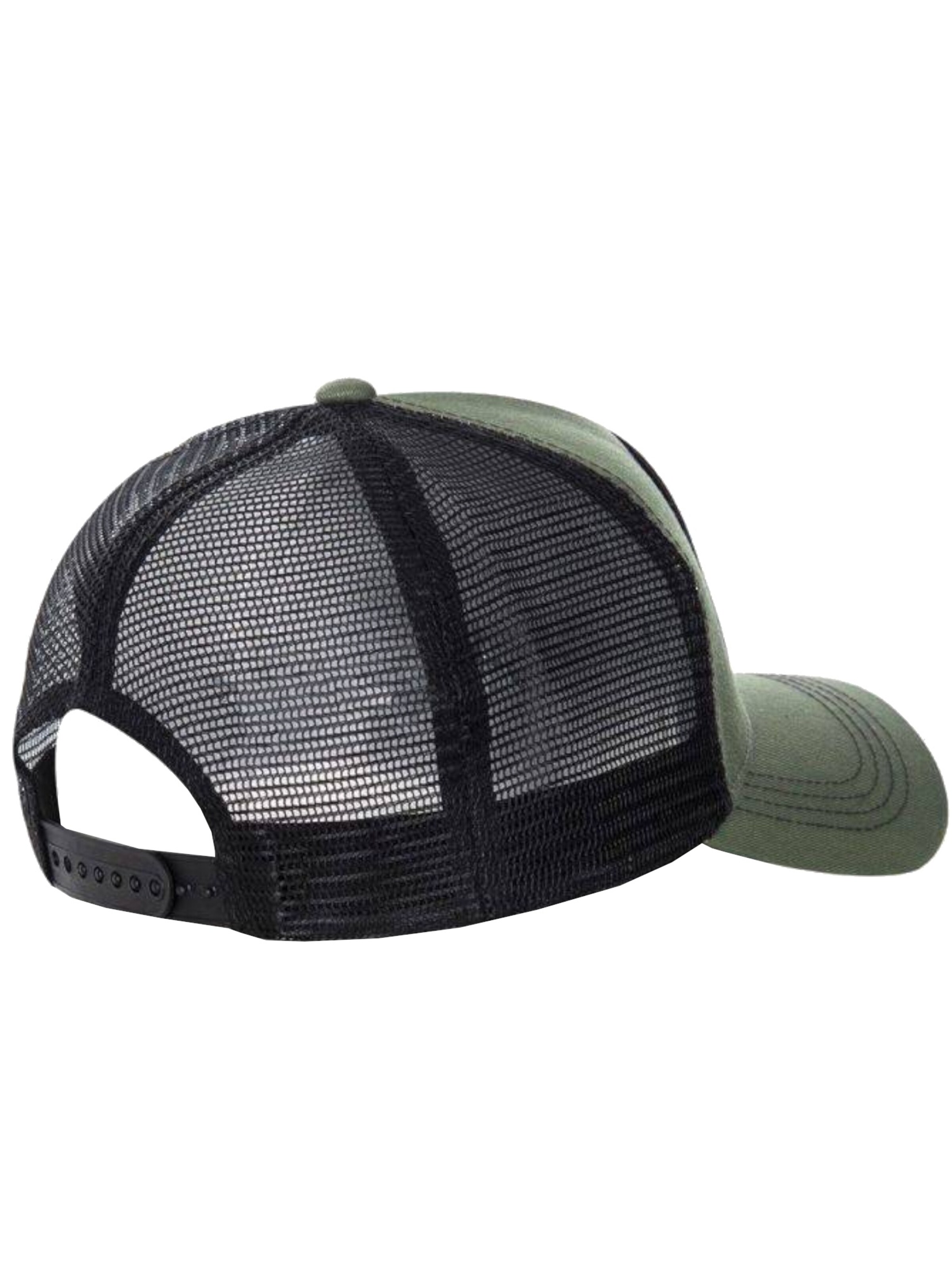 Capslab Cap 'Looney Tunes Daffy Duck' in Brown