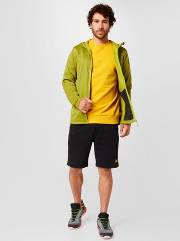 JACK WOLFSKIN Funktionele fleece-jas 'HORIZON' in Groen