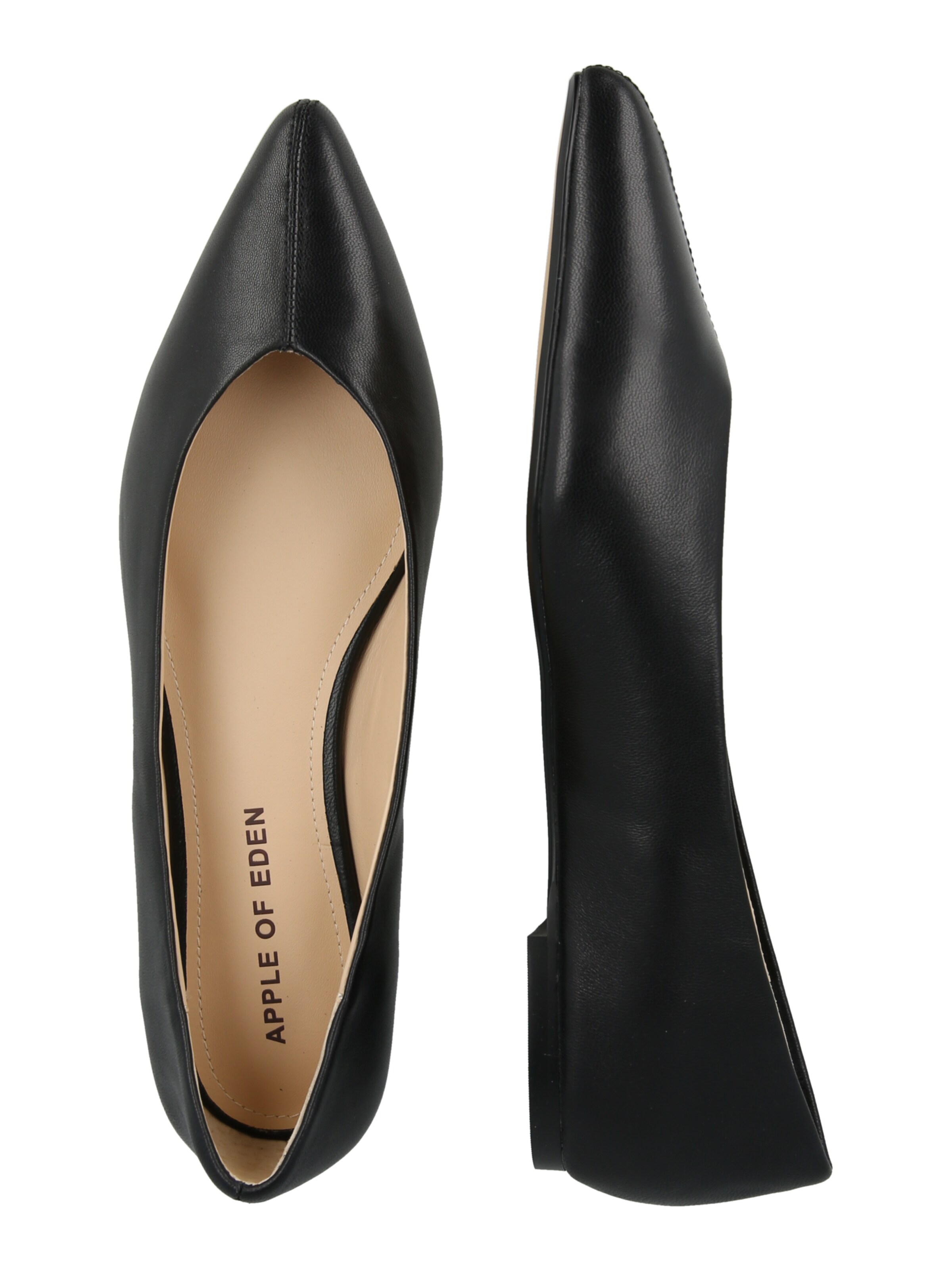 Apple of Eden - Sabrina 'DAYLIN 1' em preto