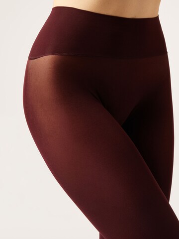CALZEDONIA Tights in Red