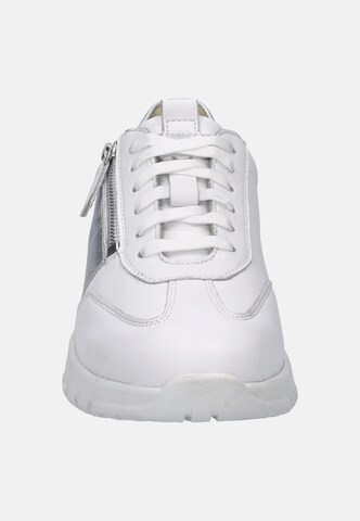JOSEF SEIBEL High-top trainers 'Gabby 01' in White