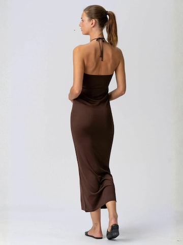 TEESHOPPEN Dress ' Jasmin ' in Brown