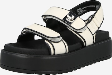 STEVE MADDEN Sandal 'Bigmona' in White: front
