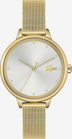 LACOSTE Analoguhr in Gold