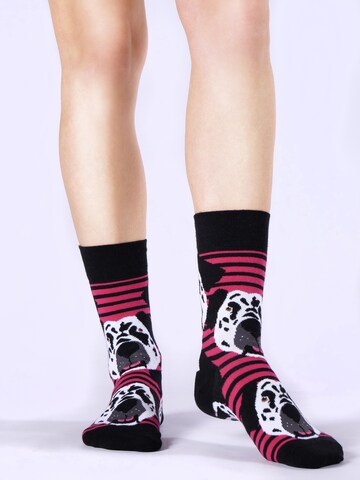 UNABUX Socks ' Mix ' in Mixed colors: front