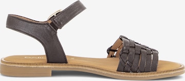Sandales GABOR en marron : devant