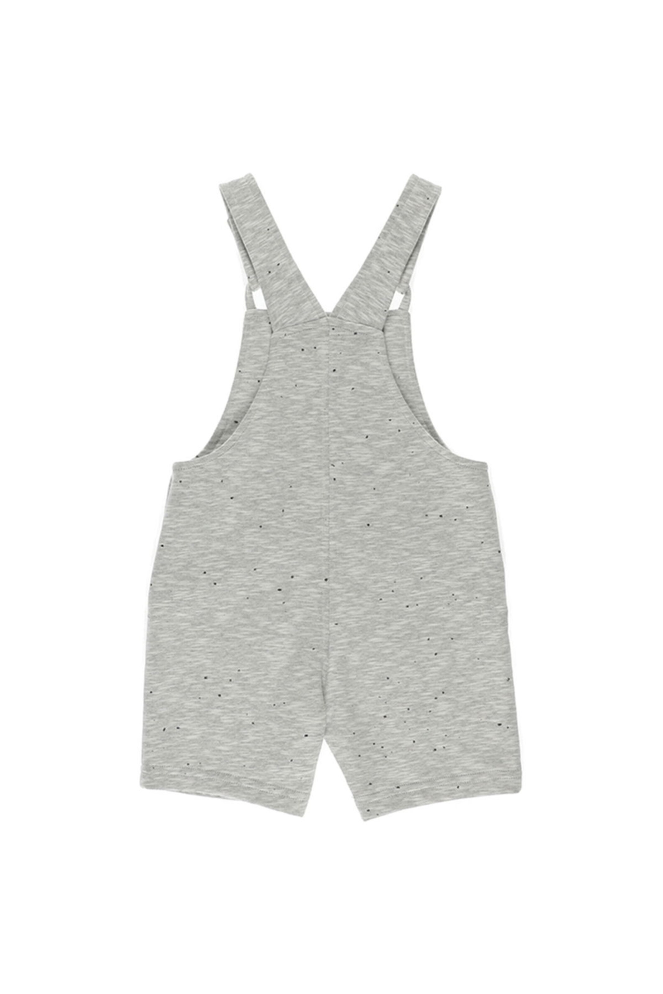 Panço Regular Overalls in Grey