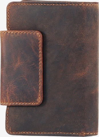 Greenland Nature Wallet in Brown: front