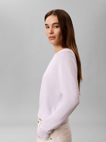 Calvin Klein Jeans Regular Sweater in Purple