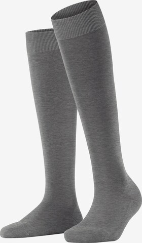 FALKE Kniestrümpfe 'ClimaWool' in Grau: Vorderseite