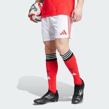 Regular Pantalon de sport 'Benfica Lissabon 25/26' ADIDAS PERFORMANCE en blanc : devant