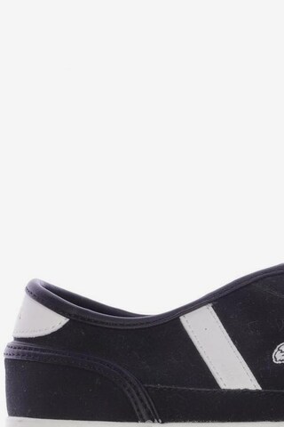 LACOSTE Sneakers & Trainers in 42 in Black