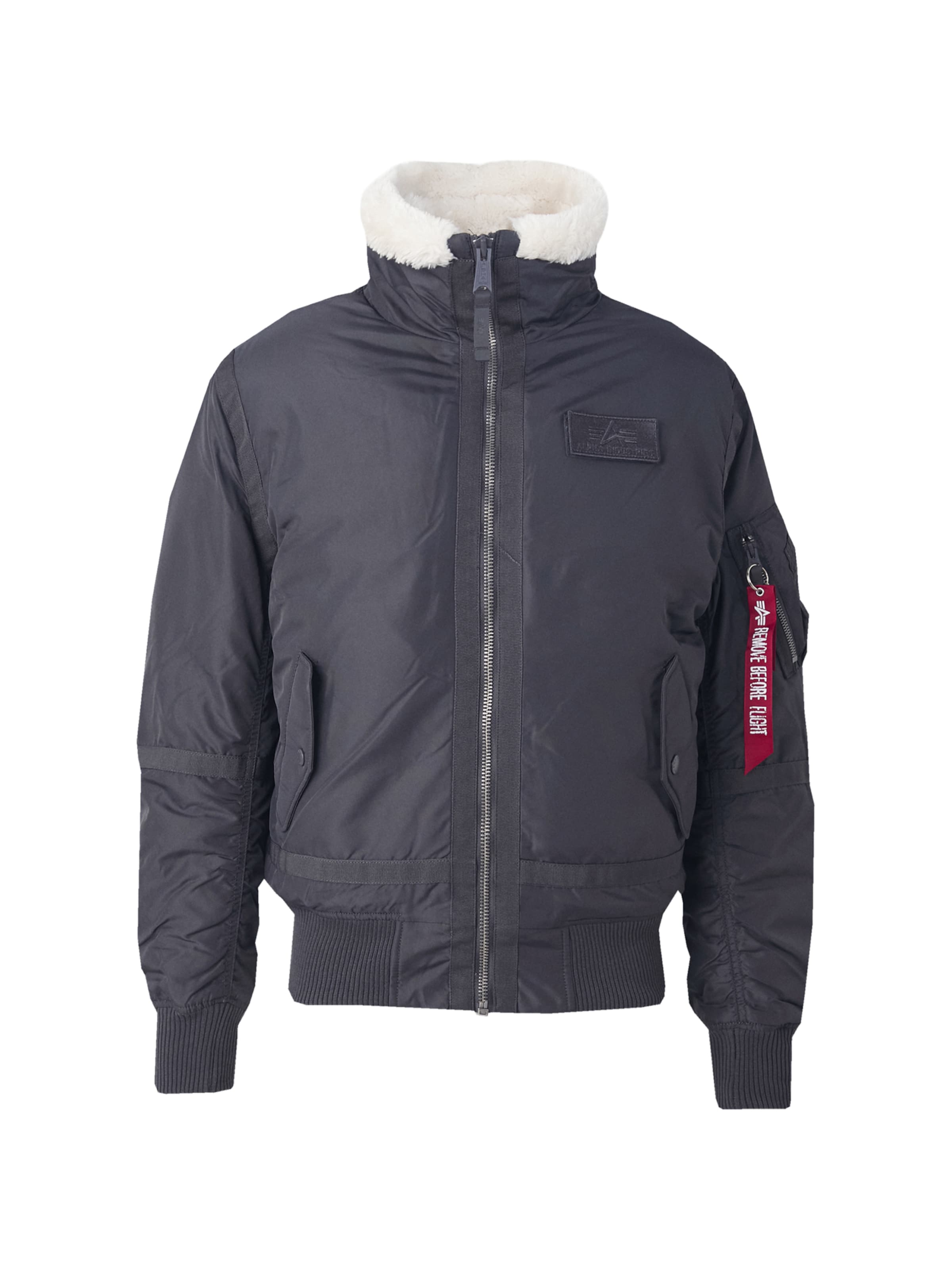 ALPHA INDUSTRIES Regularny krój Kurtka zimowa w kolorze czarny: przód