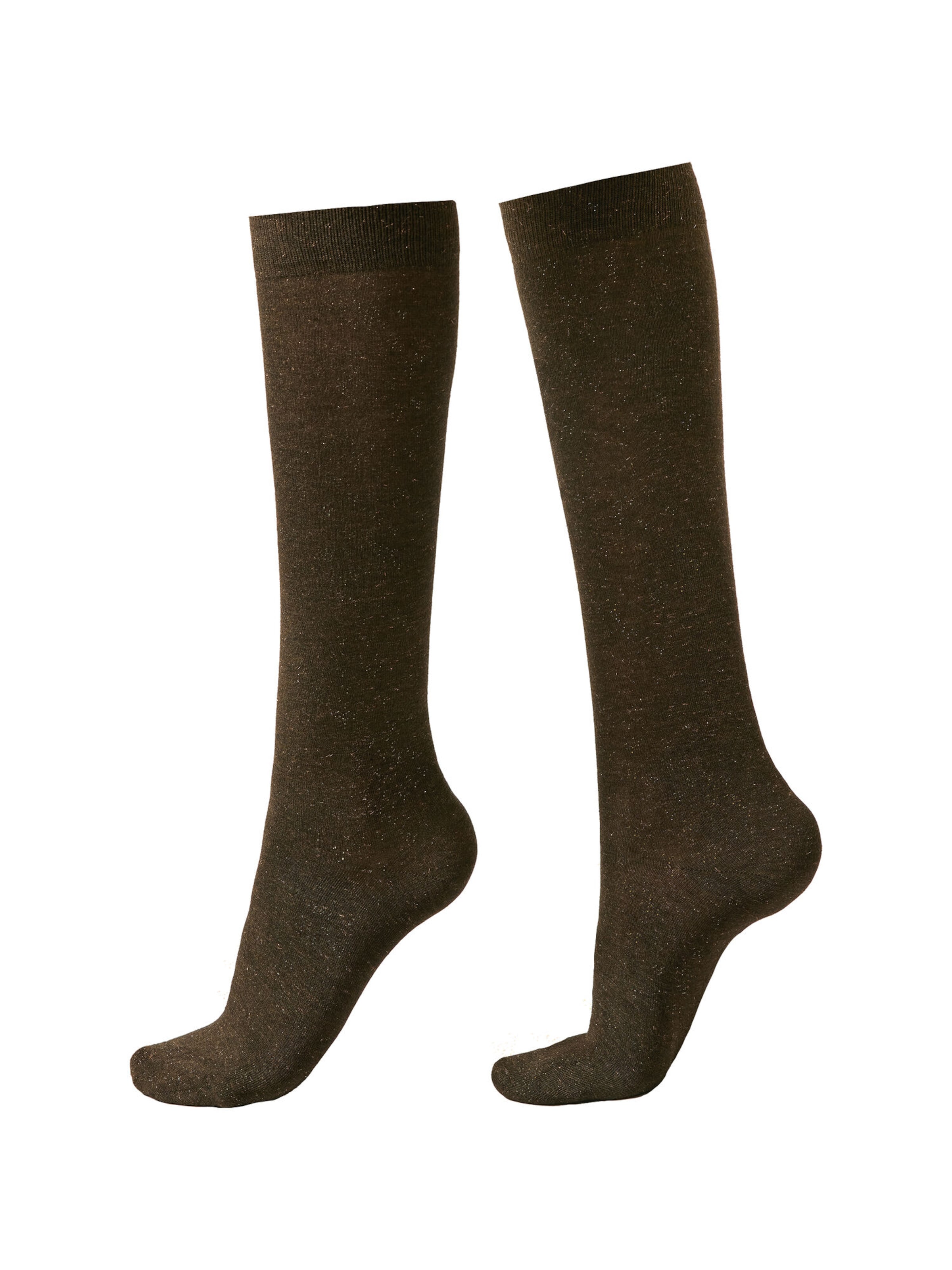 CALZEDONIA Kniestrümpfe in Braun: Vorderseite