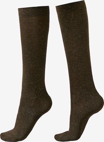CALZEDONIA Kniestrümpfe in Braun: Vorderseite
