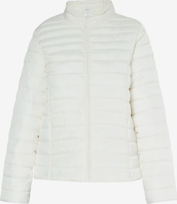 ICEBOUND Winter Jacket in Beige: front