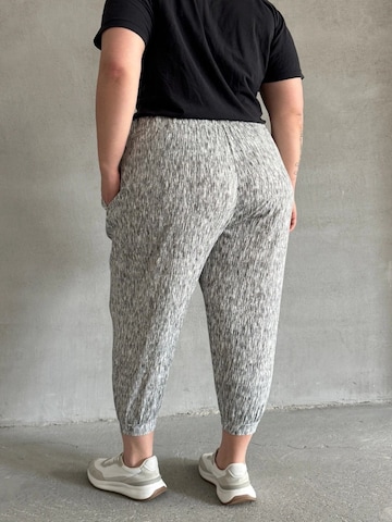 Stil Diva Regular Broek in Grijs