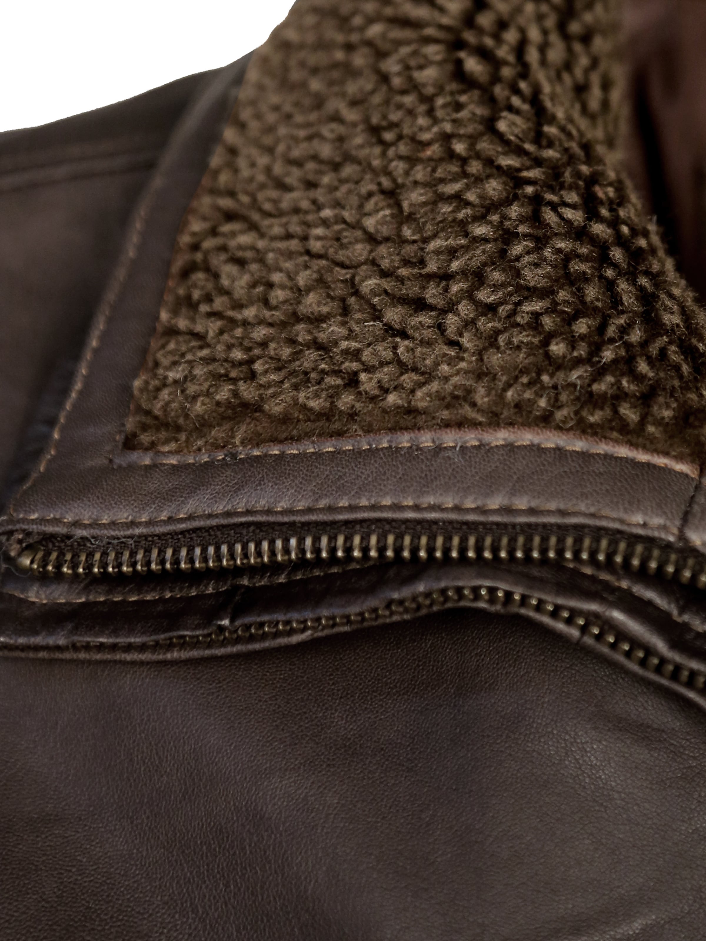 JCC Tussenjas 'MartinLN' in Bruin