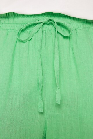 SENSES.THE LABEL Regular Pants in Green