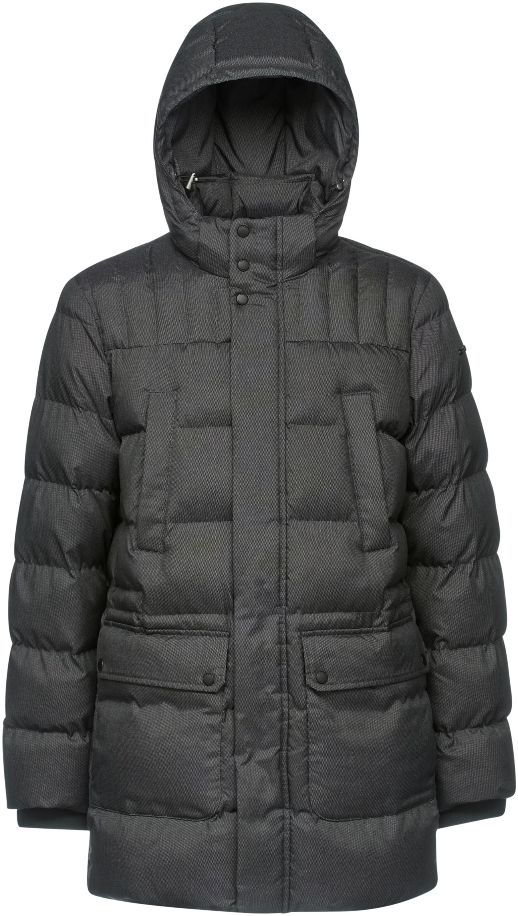 GEOX Winter Parka in Grey: front