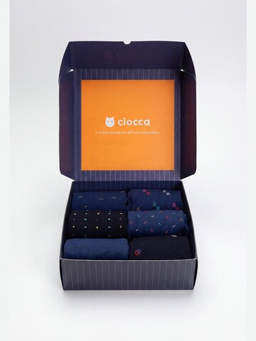 Ciocca Socks in Mixed colors