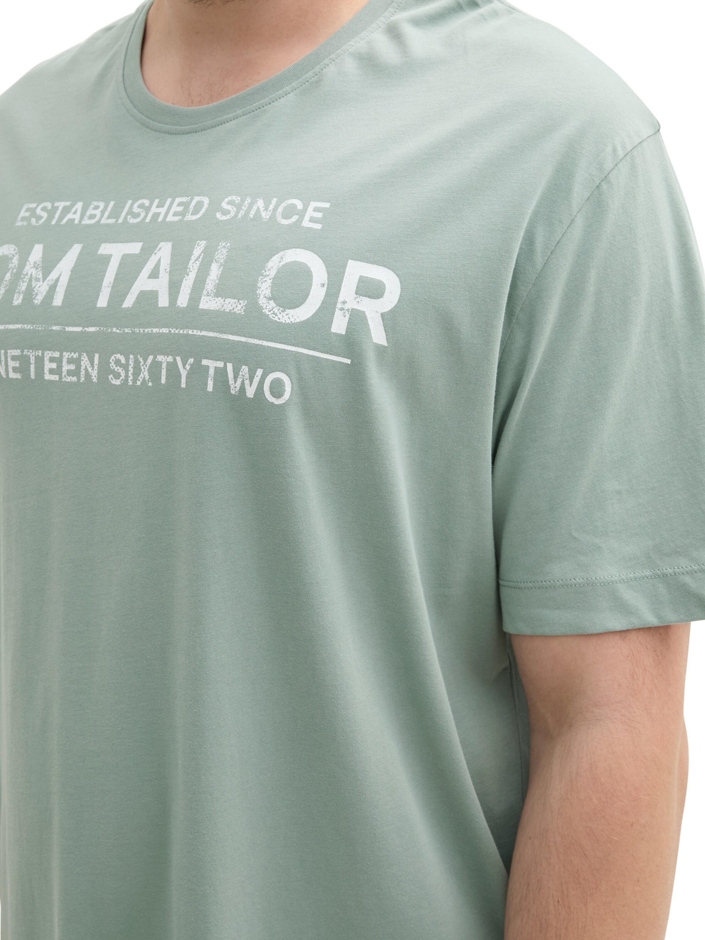 TOM TAILOR Men + Shirt in Green